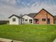 Thumbnail Detached house for sale in Ropers Gate, Lutton