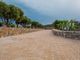 Thumbnail Property for sale in Lasithi, Crete, Greece