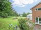 Thumbnail Detached house for sale in Beech Place, St.Albans