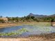 Thumbnail Farmhouse for sale in Hemel &amp; Aarde Valley, Hermanus Rural, Cape Town, Western Cape, South Africa