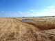 Thumbnail Land for sale in 570 000 Sq. m. Of Agricultural Land For Dry Farming, Portugal