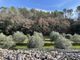 Thumbnail Commercial property for sale in Puget Ville, Provence Coast (Cassis To Cavalaire), Provence - Var