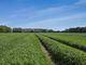 Thumbnail Land for sale in The Blyford Estate, Southwold Road, Blyford, Halesworth