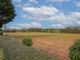 Thumbnail Detached bungalow for sale in London Road, Whimple, Exeter