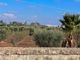 Thumbnail Land for sale in Conversano, Puglia, 70014, Italy