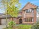 Thumbnail Detached house for sale in Mallard Walk, Mickleover, Derby