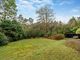 Thumbnail Bungalow for sale in High View Road, Lightwater, Surrey