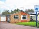 Thumbnail Detached bungalow for sale in Hogarth Rise, Dronfield