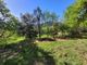 Thumbnail Property for sale in Olargues, Languedoc-Roussillon, 34390, France
