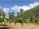 Thumbnail Land for sale in Nosy Faly, Nosy Faly, Mg