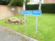 Thumbnail Flat for sale in Broadfield Drive, Leyland