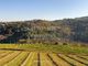 Thumbnail Farmhouse for sale in Vila Nova De Souto D'el-Rei, 5100 Lamego, Portugal