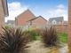 Thumbnail Detached house to rent in Bowyer Way, Morpeth