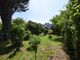 Thumbnail Semi-detached bungalow for sale in Coast Road, Pevensey Bay