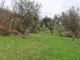 Thumbnail Property for sale in Castelo Branco, Portugal