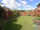 Thumbnail Detached house for sale in Dovecote Green, Westbrook, Warrington