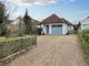 Thumbnail Detached bungalow for sale in The Avenue, Liphook