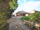 Thumbnail Semi-detached bungalow to rent in Sandy Lane, Taverham, Norwich