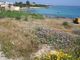 Thumbnail Land for sale in Protaras, Famagusta, Cyprus