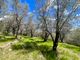 Thumbnail Detached house for sale in Strada Ponte Raggio- La Colla, Dolceacqua, Imperia, Liguria, Italy