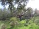 Thumbnail Property for sale in 6060 Monsanto, Portugal