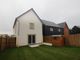 Thumbnail Semi-detached house to rent in Minikin Close, Colchester