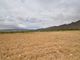 Thumbnail Land for sale in 30510 Yecla, Murcia, Spain