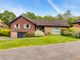 Thumbnail Property to rent in Badgers Close, Crowborough