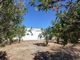 Thumbnail Villa for sale in Porches, Algarve, Portugal