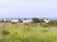 Thumbnail Land for sale in Polis, Paphos, Cyprus