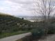 Thumbnail Property for sale in Algamitas, Andalucia, Spain