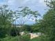 Thumbnail Land for sale in Valley Church, Antigua And Barbuda