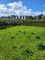 Thumbnail Land for sale in Tregender Lane, Crowlas, Penzance