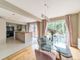 Thumbnail Link-detached house for sale in Lightwater, Surrey