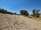 Thumbnail Land for sale in Alethriko, Larnaca, Cyprus