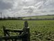 Thumbnail Farm for sale in Brockenbarrow Farm, Challacombe, Barnstaple