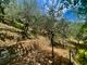 Thumbnail Country house for sale in Sp63, Apricale, Imperia, Liguria, Italy
