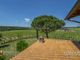 Thumbnail Farm for sale in Castiglion Del Lago, Umbria, Italy