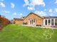 Thumbnail Detached bungalow for sale in Catkin Mews, Colchester