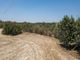 Thumbnail Land for sale in Anglisides, Larnaca, Cyprus