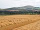 Thumbnail Farm for sale in Leven
