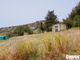 Thumbnail Land for sale in 1238, Akoursos, Paphos, Cyprus