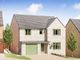 Thumbnail Detached house for sale in "The Tiverton" at Fitzhugh Rise, Wellingborough