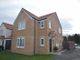 Thumbnail Detached house for sale in Gannet Drive, Morpeth