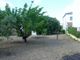 Thumbnail Property for sale in Pruna, Andalucia, Spain