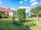 Thumbnail Semi-detached bungalow for sale in Swanton Road, Dereham