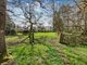 Thumbnail Detached house for sale in Horsham Road, Rowhook, Horsham, West Sussex