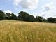 Thumbnail Land for sale in Florence Road, Kelly Bray, Callington, Cornwall