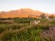 Thumbnail Land for sale in 7 Welgegund, Paradyskloof, Stellenbosch, Western Cape, South Africa