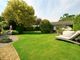 Thumbnail Bungalow for sale in South Gorley, Ringwood, Hampshire